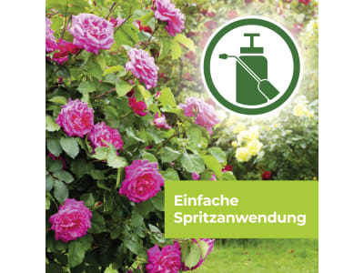 Protect Garden Curamat AZ Rosen-Pilzfrei 2 St.; 4 ml   