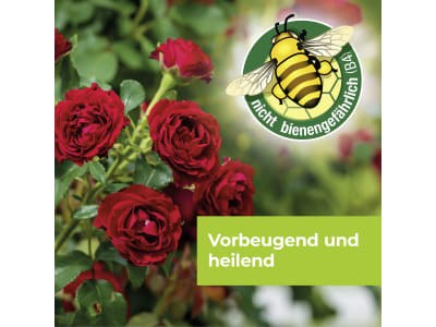 Protect Garden Curamat AZ Rosen-Pilzfrei 2 St.; 4 ml   