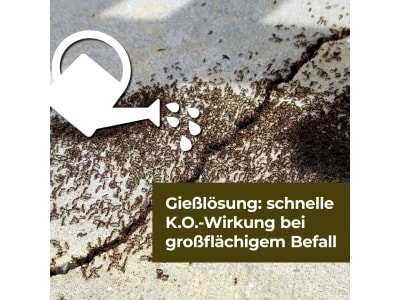 Protect Home Natria Streu- und Gießmittel N 500 g   