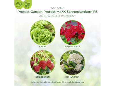 SBM Protect MaXX Schneckenkorn FE 500 g  gegen Nackt- und Schnirkelschnecken 