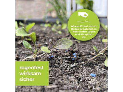 SBM Protect MaXX Schneckenkorn FE 500 g  gegen Nackt- und Schnirkelschnecken 