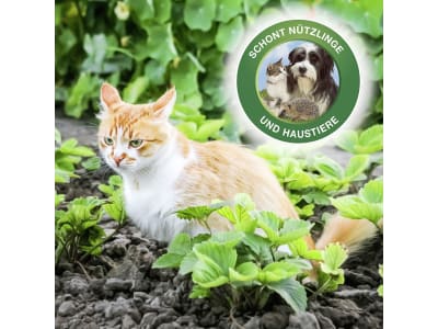 SBM Protect MaXX Schneckenkorn FE 500 g  gegen Nackt- und Schnirkelschnecken 
