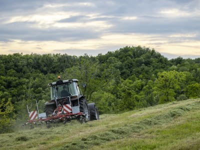 Massey Ferguson Heuwender "MF TD 576 DN" Dreipunktanbau Kat. 1; Dreipunktanbau Kat. 2 Alpin 5,70 m