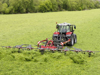 Massey Ferguson Heuwender "MF TD X"