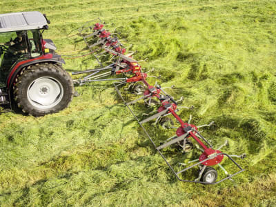 Massey Ferguson Heuwender "MF TD X"
