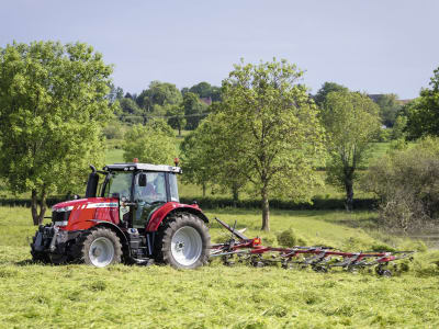 Massey Ferguson Heuwender "MF TD X"
