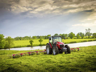 Massey Ferguson Heuwender "MF TD X"