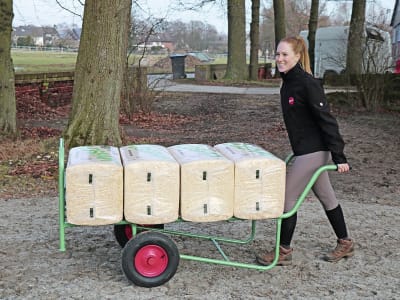 Growi® Ballenkarre 2.000 x 850 x 990 mm für Strohballen, Heuballen, Kisten, Säcke und Kanister, 15830