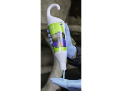 KERBL Euterpflegemittel "CareMint", 1.000 ml, 15311 KERBL Euterpflegemittel "CareMint", 1.000 ml, 15311