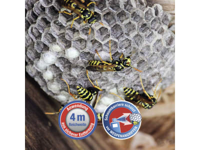 Protect Home FormineX Wespen-Spezialspray+Wespenschau    
