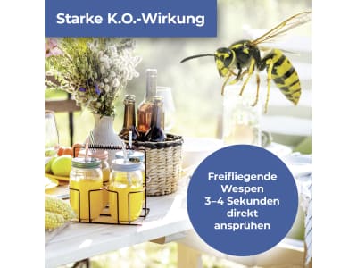 Protect Home FormineX Wespen-Spezialspray+Wespenschau    