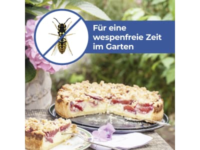 Protect Home FormineX Wespenschaum 600 ml   