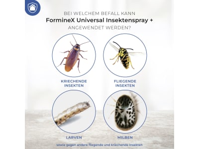 Protect Home FormineX Universal Insektenspray+ 600 ml Flasche  