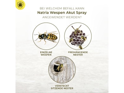 Protect Home Natria Wespen Akut Spray (3 in 1) 400 ml  zur Wespenbekämpfung 