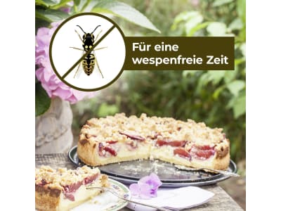 Protect Home Natria Wespen Akut Spray (3 in 1) 400 ml  zur Wespenbekämpfung 