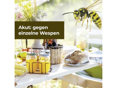 Protect Home Natria Wespen Akut Spray (3 in 1) 400 ml  zur Wespenbekämpfung 