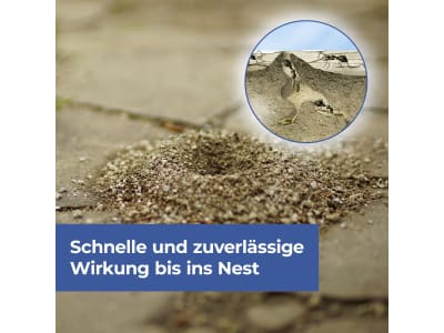 Protect Home FormineX Ameisen Ködergranulat 600 g Flasche  