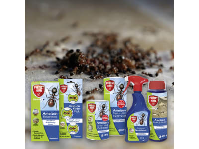 Protect Home FormineX Ameisen Ködergranulat 600 g Flasche  