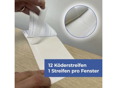 Protect Home FormineX Fliegenköder Fensterstreifen 12 St.   