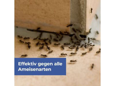Protect Home FormineX Ameisen Köder Multi 3 St. Dose Ameisenfalle 