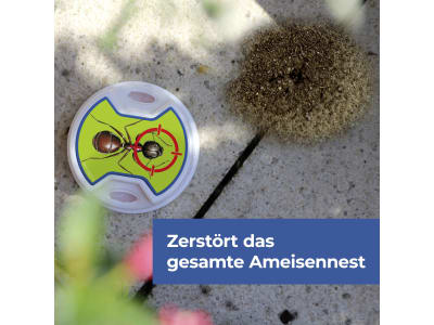 Protect Home FormineX Ameisen Köder Multi 3 St. Dose Ameisenfalle 