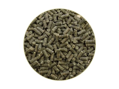 St. Hippolyt Kernkraft Muskel proteinreiches Aufbaufutter für Sportpferde mit essentiellen Aminosäuren 5 kg Eimer St. Hippolyt Kernkraft Muskel proteinreiches Aufbaufutter für Sportpferde mit essentiellen Aminosäuren 5 kg Eimer