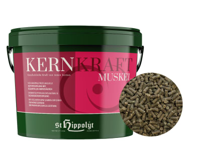 St. Hippolyt Kernkraft Muskel proteinreiches Aufbaufutter für Sportpferde mit essentiellen Aminosäuren 5 kg Eimer St. Hippolyt Kernkraft Muskel proteinreiches Aufbaufutter für Sportpferde mit essentiellen Aminosäuren 5 kg Eimer