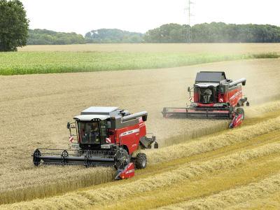 Massey Ferguson Mähdrescher "MF Activa 7344" 192 kW (260 PS)
