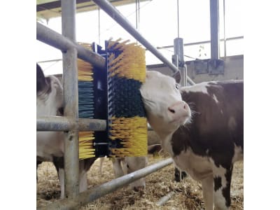 Patura Kratzbürste "Multifix" 300 x 500 x 140 mm für Bullen; Kälber; Rinder; Pferde; Ponys; Schafe; Ziegen, 334149