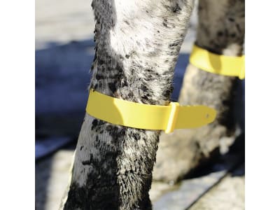 KERBL Fesselband "Quick Strap Shoof" 34 x 3 cm 5 St. KERBL Fesselband "Quick Strap Shoof" 34 x 3 cm 5 St.