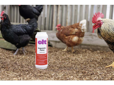 Cit Insektenpulver 500 ml für kriechenden Insekten wie Asseln, Käfern, Drahtwürmern, Ameisen etc. und roter Vogelmilbe, 15439 Cit Insektenpulver 500 ml für kriechenden Insekten wie Asseln, Käfern, Drahtwürmern, Ameisen etc. und roter Vogelmilbe, 15439