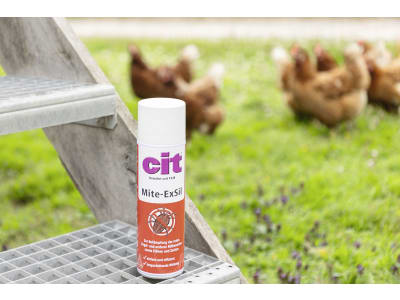 Cit Milbenspray "Mite-ExSil" 500 ml für die rote Vogelmilbe, andere Vogelmilbenarten, Flöhe, Zecken, 15448 Cit Milbenspray "Mite-ExSil" 500 ml für die rote Vogelmilbe, andere Vogelmilbenarten, Flöhe, Zecken, 15448