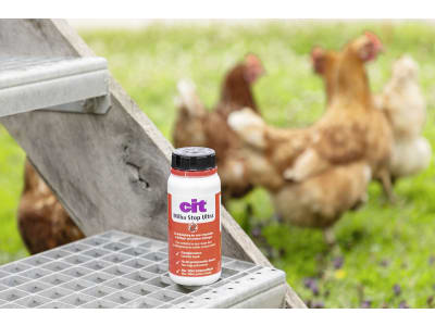 Cit Milbenkonzentrat "MilbaStop Ultra" 250 ml für die rote Vogelmilben in Geflügel- und anderen Stallungen, 299738 Cit Milbenkonzentrat "MilbaStop Ultra" 250 ml für die rote Vogelmilben in Geflügel- und anderen Stallungen, 299738