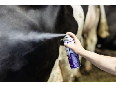 Cit Insektenspray "Parasitos" 500 ml für die Bekämpfung aller beißenden, stechenden Insekten und Parasiten, 15442 Cit Insektenspray "Parasitos" 500 ml für die Bekämpfung aller beißenden, stechenden Insekten und Parasiten, 15442