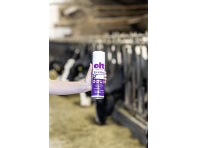 Cit Insektenspray "Parasitos" 500 ml für die Bekämpfung aller beißenden, stechenden Insekten und Parasiten, 15442 Cit Insektenspray "Parasitos" 500 ml für die Bekämpfung aller beißenden, stechenden Insekten und Parasiten, 15442