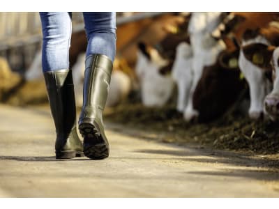 Dunlop® Gummistiefel S5 "Purofort®" Dunlop® Gummistiefel S5 "Purofort®"
