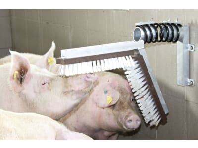 KERBL Ersatzbürste 430 x 100 mm für Schweine-Kratzbürste Best. Nr. 1749319/22170, 1 St., 221702 KERBL Ersatzbürste 430 x 100 mm für Schweine-Kratzbürste Best. Nr. 1749319/22170, 1 St., 221702