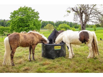 Patura Futtertrog "Slow Feeder" für Pferde und Ponys