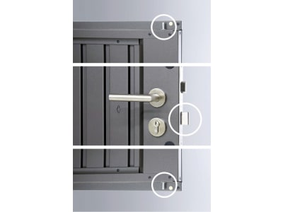 Biohort Gerätehaus HighLine H5 275 x 315 cm dunkelgrau; metallic Doppeltür 