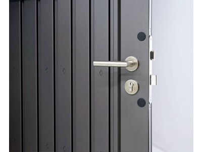 Biohort Gerätehaus HighLine H3 275 x 235 cm quarz-grau; metallic Doppeltür 