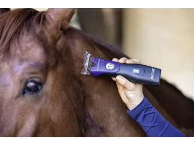 AESCULAP® Akku-Schermaschine "Favorita CLi", blau; schwarz, für Kleintiere, GT234-NB