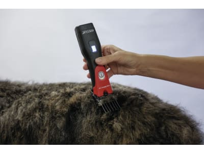 AESCULAP® Akku-Schermaschine "Favorita CLi", rot; schwarz, für Kleintiere, GT234-SR