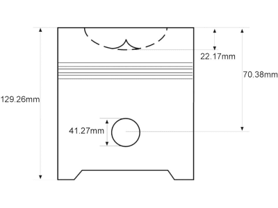 Kolben, Motor BSD 444T, Ringträgerkolben, Ø Kolbenbolzen 41,28 mm, für Ford New Holland