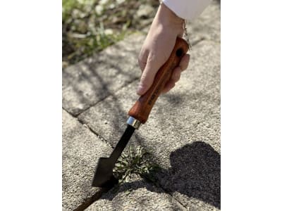 SHW Rex Fugenkratzer  