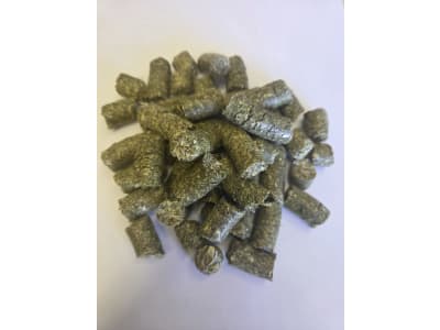 Pegus Natural Esparsette eiweißreiche Raufutterergänzung für Pferde  Cobs 20 kg Sack