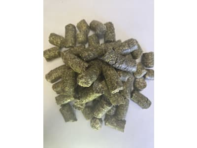 Pegus Natural Esparsette eiweißreiche Raufutterergänzung für Pferde  Cobs 20 kg Sack