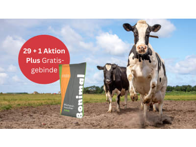 Bonimal FEED RB Milch MM 50 Acid ad libitum geeigneter angesäuerter Milchaustauscher für die intensive Kälberaufzucht, enthält 50% Magermilchpulver und 100% Milcheiweiß 25 kg Sack Bonimal FEED RB Milch MM 50 Acid ad libitum geeigneter angesäuerter Milchaustauscher für die intensive Kälberaufzucht, enthält 50% Magermilchpulver und 100% Milcheiweiß 25 kg Sack