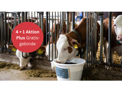 Bonimal FEED RM Lickan Kalb mit Eukalyptus, Menthol, Selen sowie Traubenkernextrakt Leckmasse 15 kg Eimer Bonimal FEED RM Lickan Kalb mit Eukalyptus, Menthol, Selen sowie Traubenkernextrakt Leckmasse 15 kg Eimer