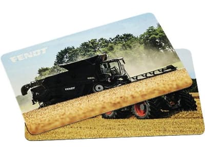 Fendt Schneidebrett 233 x 143 mm Melamin, 2 St., X991025205000