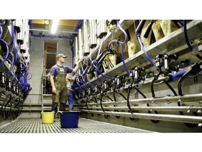 Patura LED-Feuchtraumleuchte "Premium-Line" dimmbar